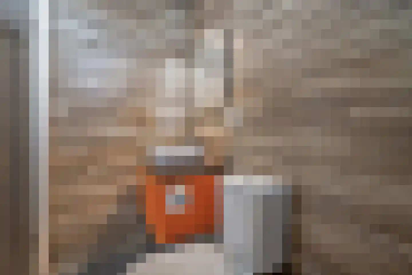 Westvest 119 Delft thumbnail 21