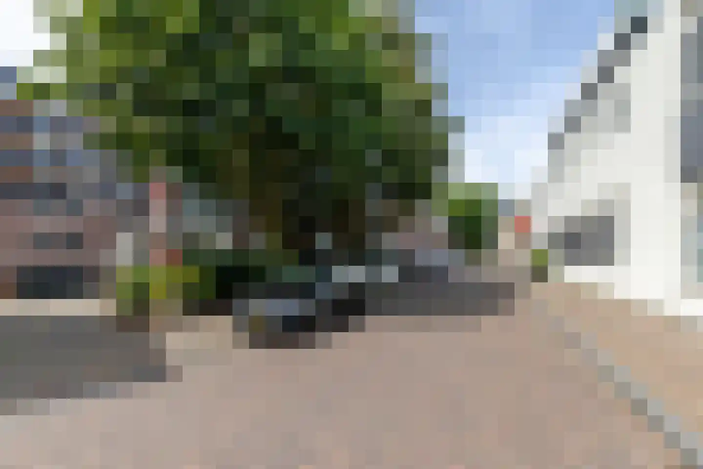 Westvest 127 Schiedam thumbnail 35