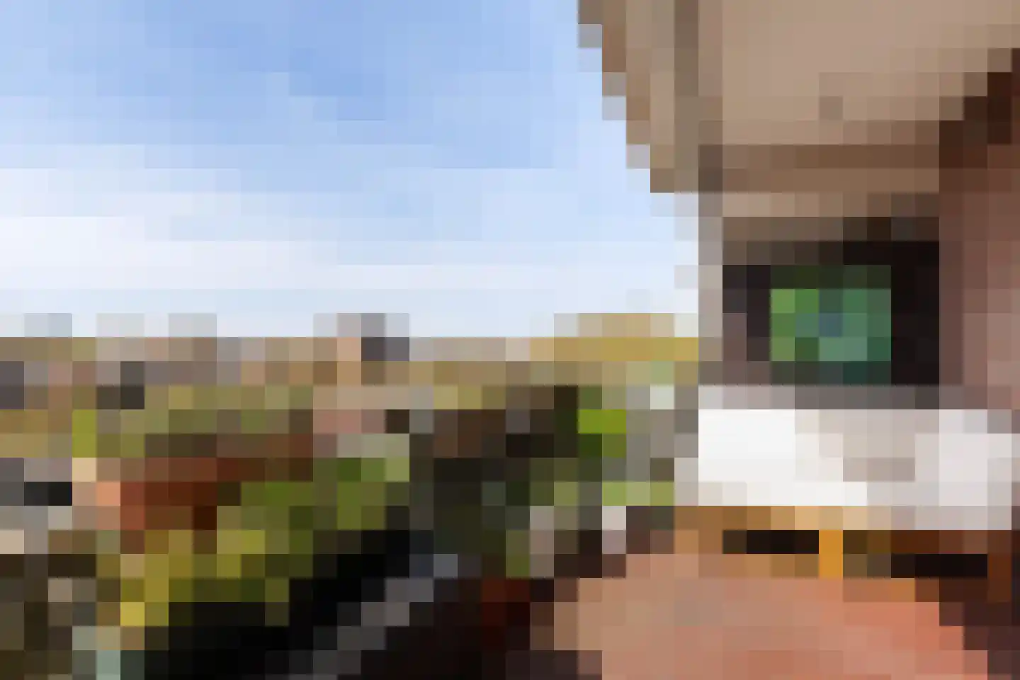 Westvest 157 Schiedam thumbnail 14