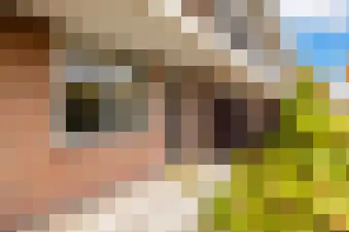 Westvest 17 Schiedam thumbnail 30