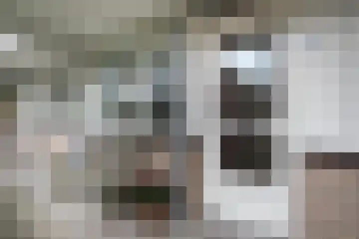 Westvest 179 Delft thumbnail 5