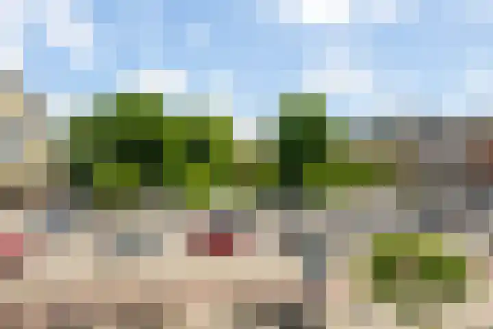 Westvest 2 C Schiedam thumbnail 7