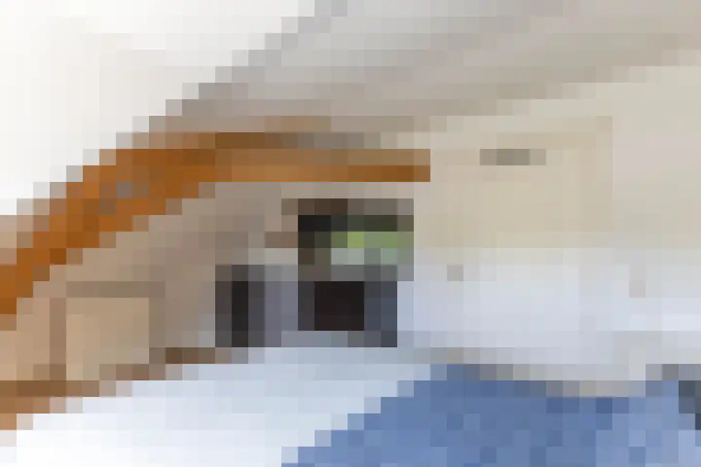 Westvest 213 Schiedam thumbnail 19
