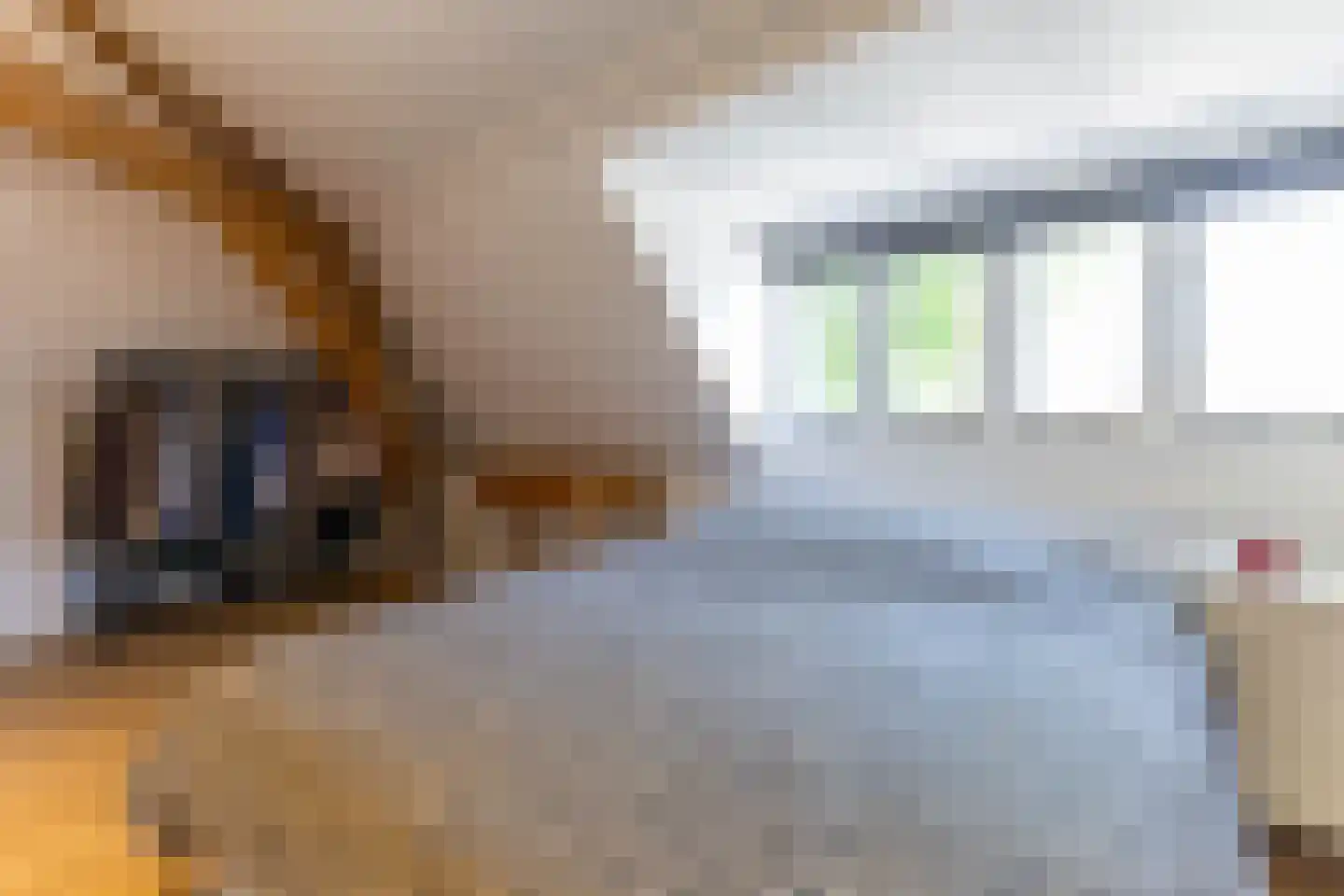 Westvest 213 Schiedam thumbnail 22