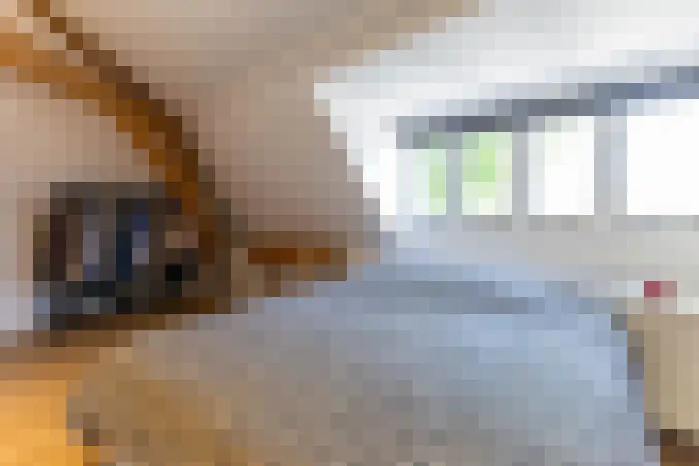 Westvest 213 Schiedam thumbnail 23