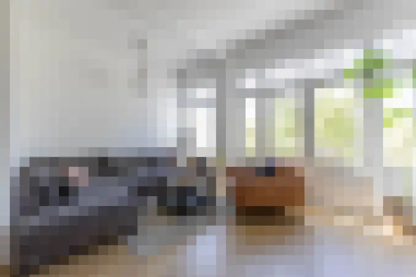 Westvest 213 Schiedam thumbnail 4