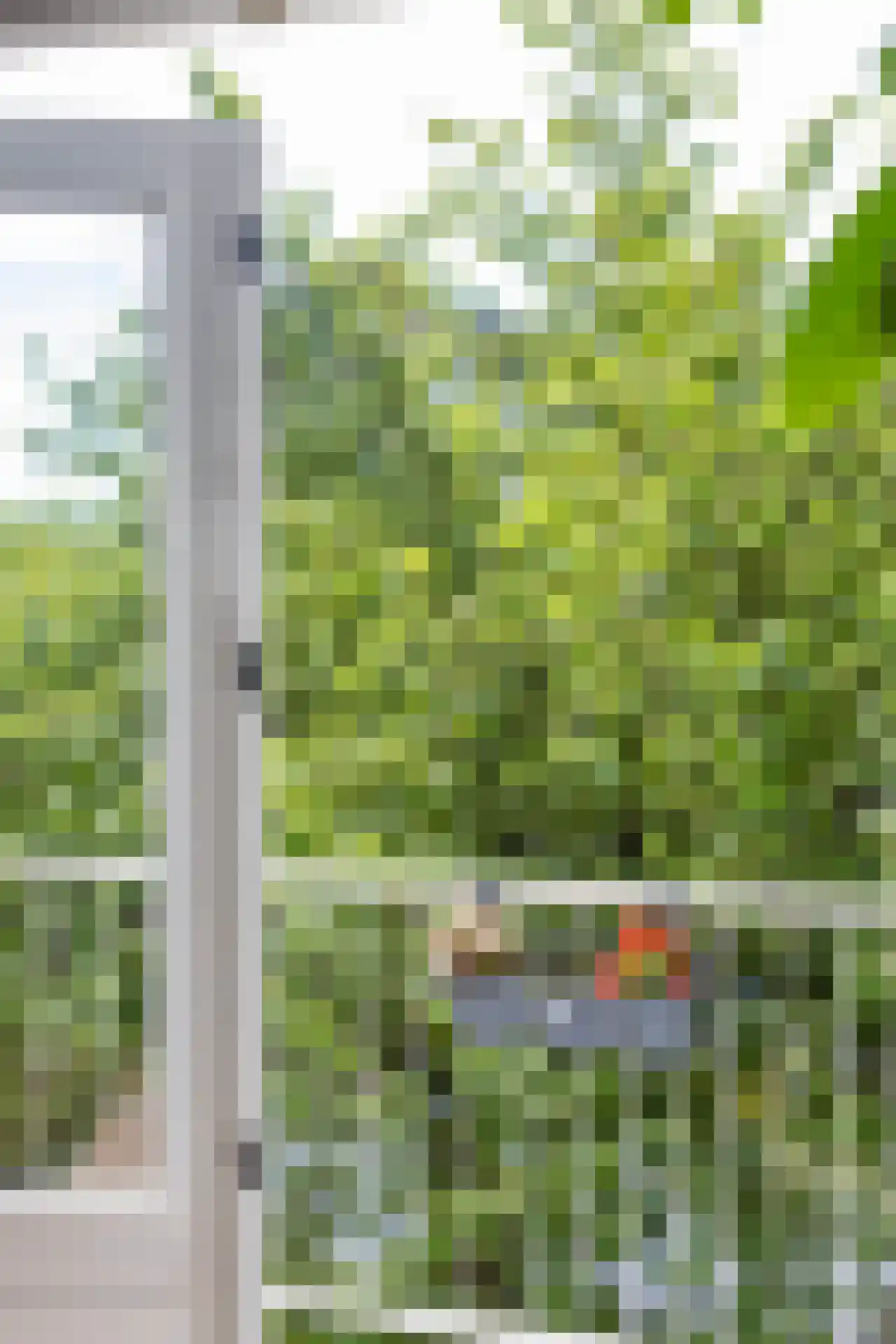 Westvest 213 Schiedam thumbnail 5