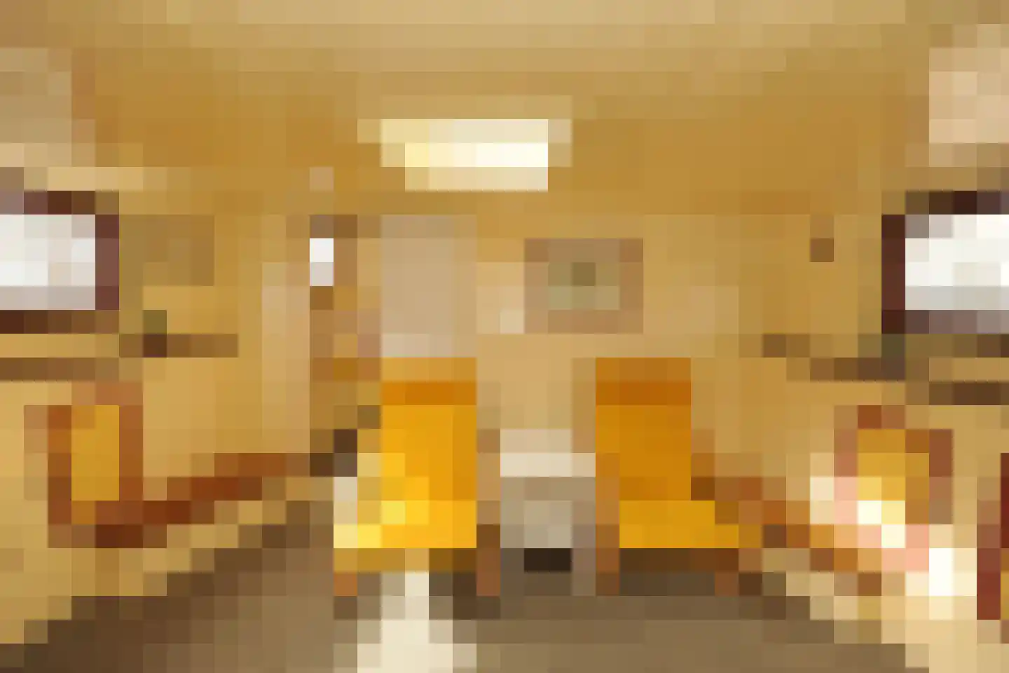 Westvest 217 A Schiedam thumbnail 27