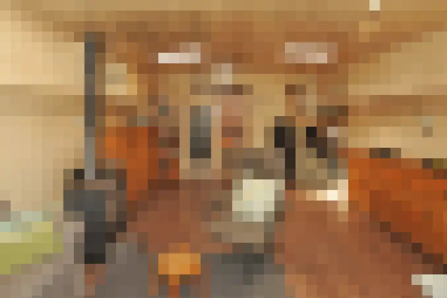 Westvest 217 A Schiedam thumbnail 8