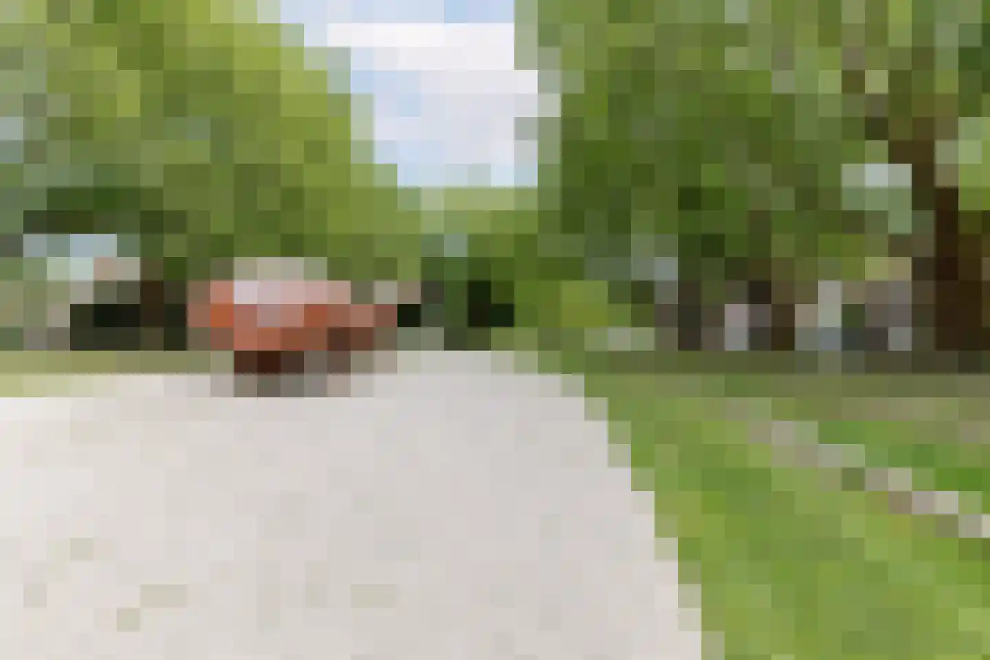 Westvest 23 Schiedam thumbnail 49