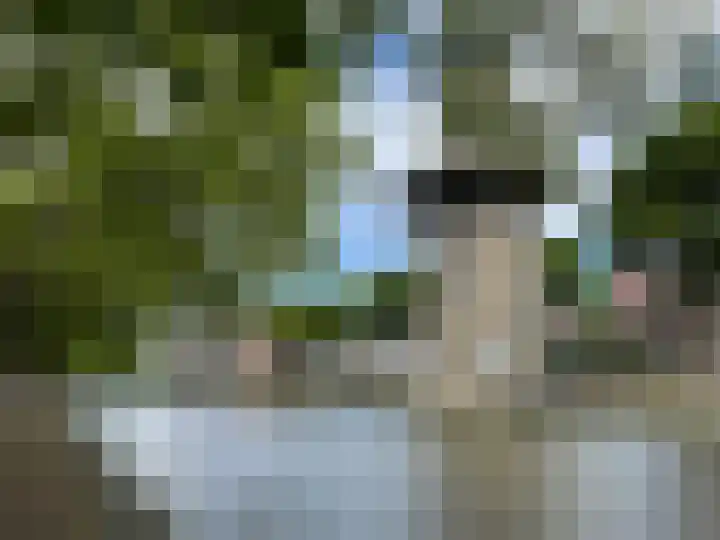 Westvest 231 Schiedam thumbnail 23