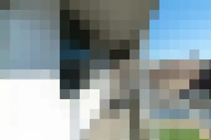 Westvest 239 Delft thumbnail 7