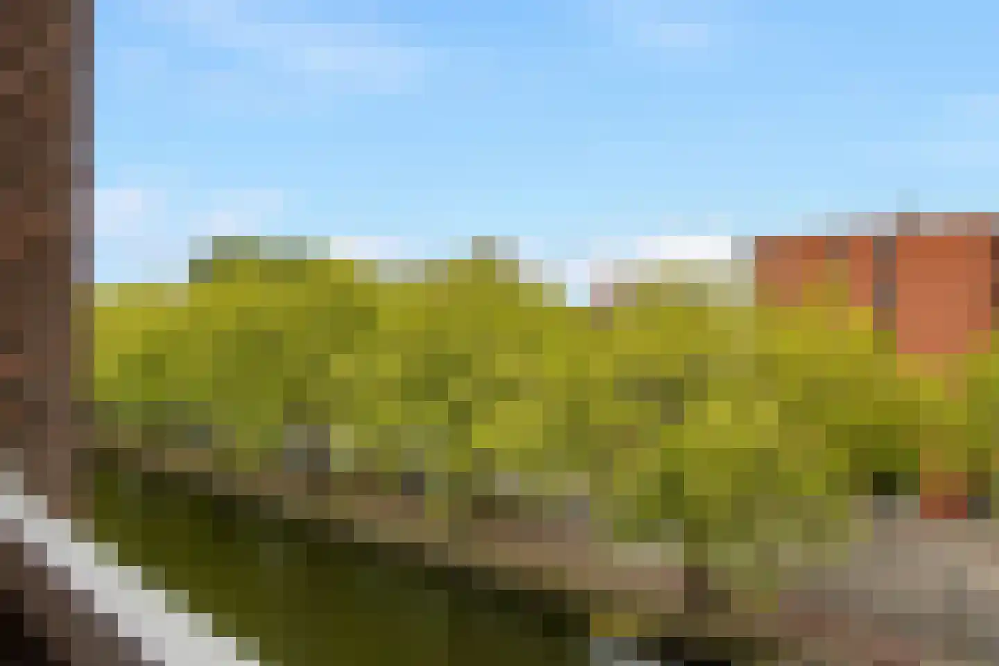 Westvest 245 Schiedam thumbnail 17