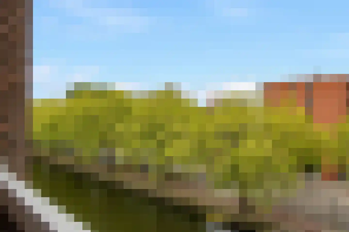 Westvest 245 Schiedam thumbnail 18
