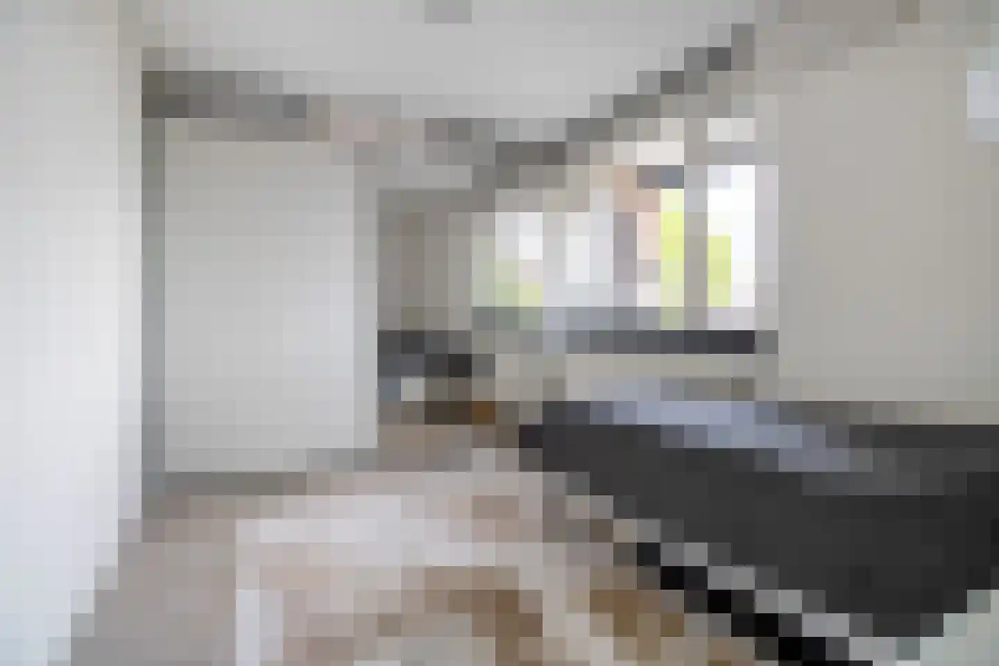 Westvest 245 Schiedam thumbnail 20