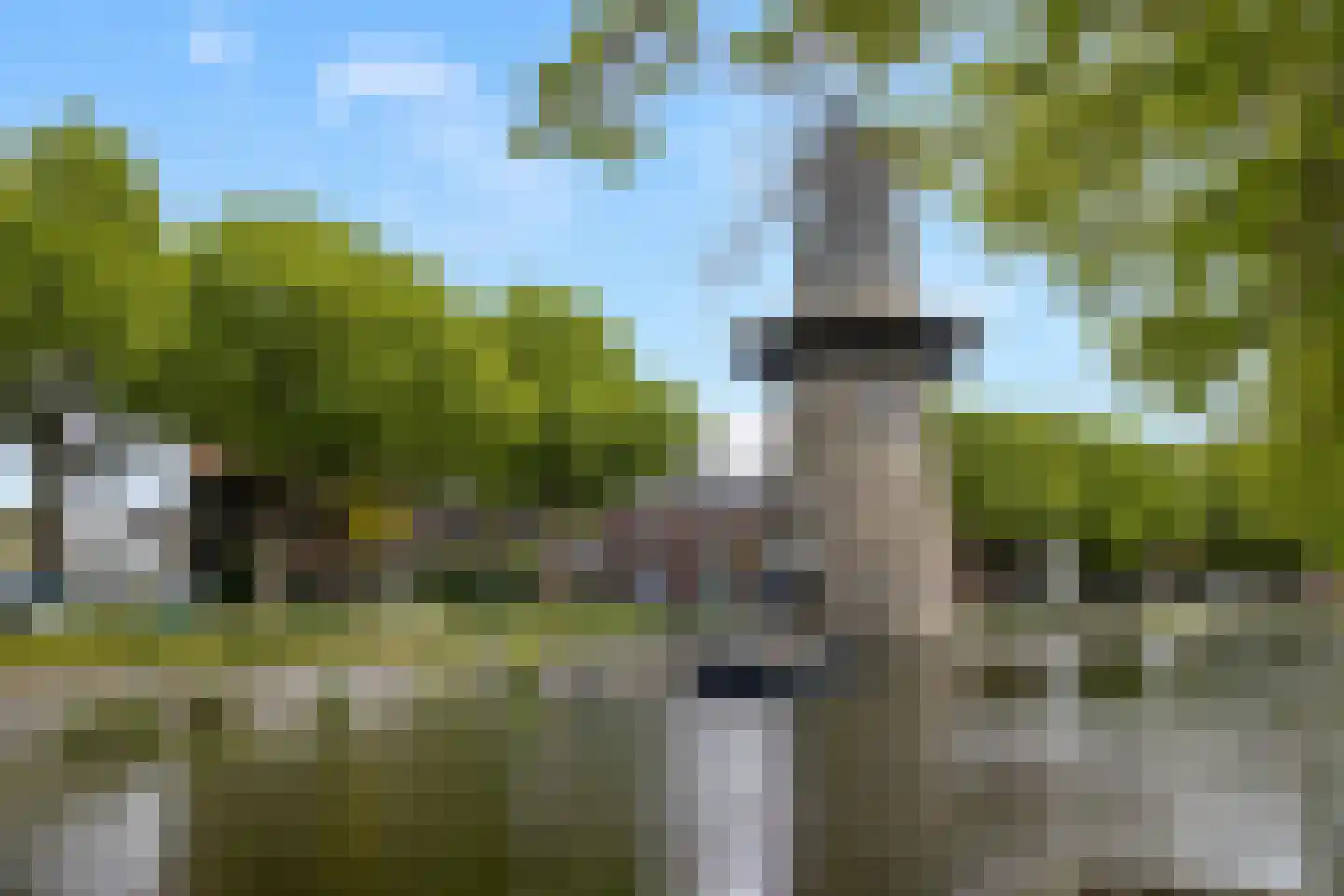 Westvest 245 Schiedam thumbnail 42