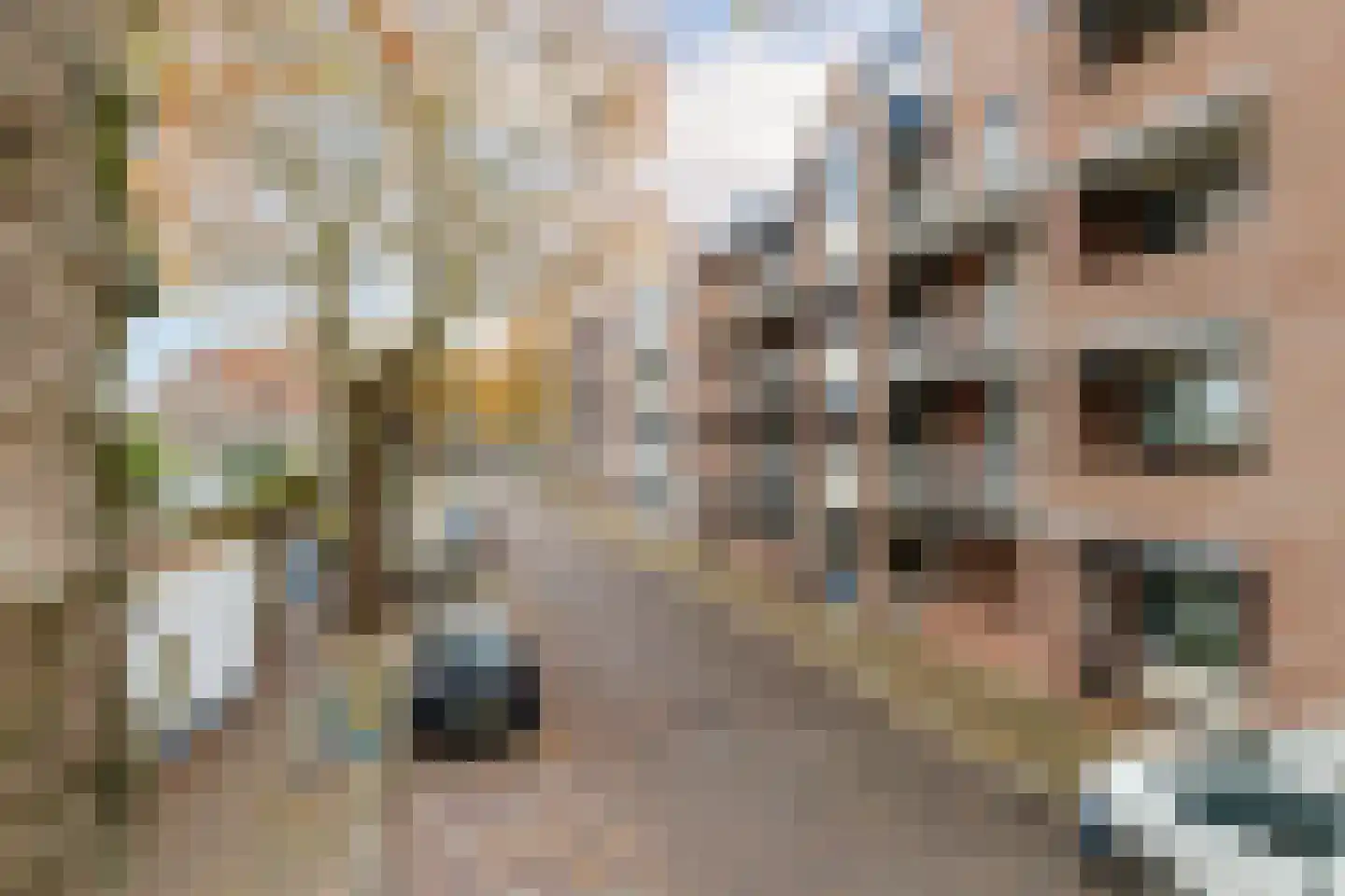 Westvest 275 Schiedam thumbnail 33