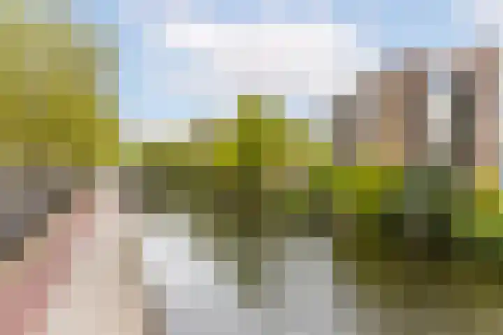 Westvest 277 Schiedam thumbnail 35