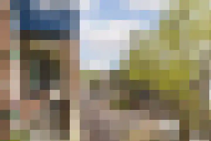 Westvest 277 Schiedam thumbnail 8