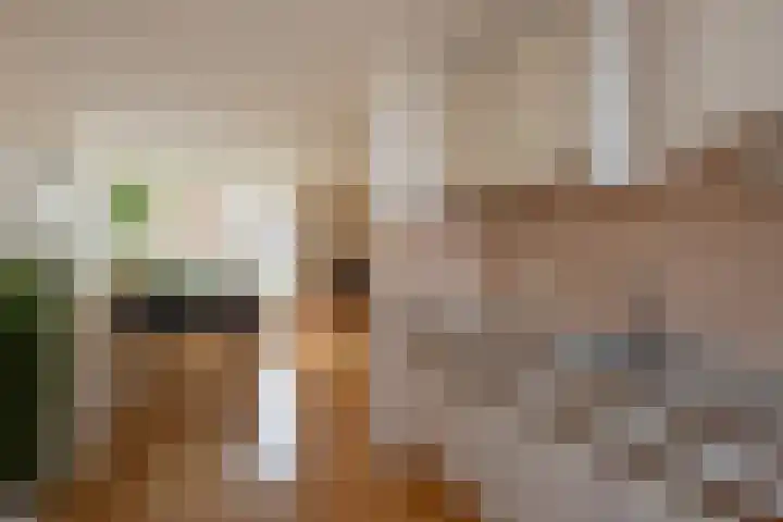Westvest 281 Delft thumbnail 25
