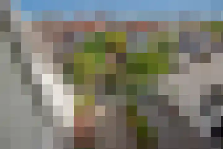 Westvest 281 Delft thumbnail 33