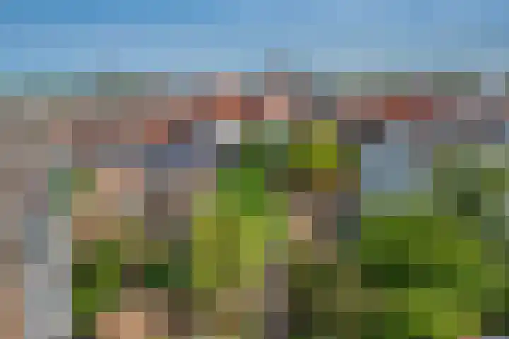 Westvest 281 Delft thumbnail 34