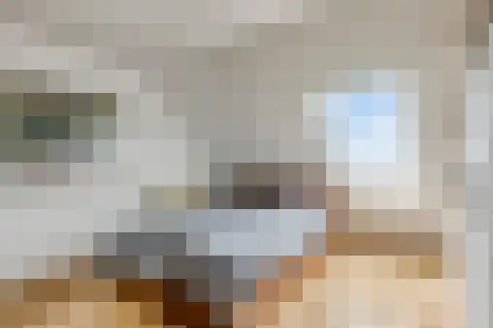 Westvest 291 Delft thumbnail 18