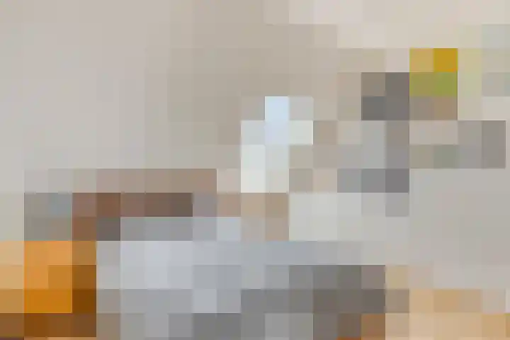 Westvest 291 Delft thumbnail 19