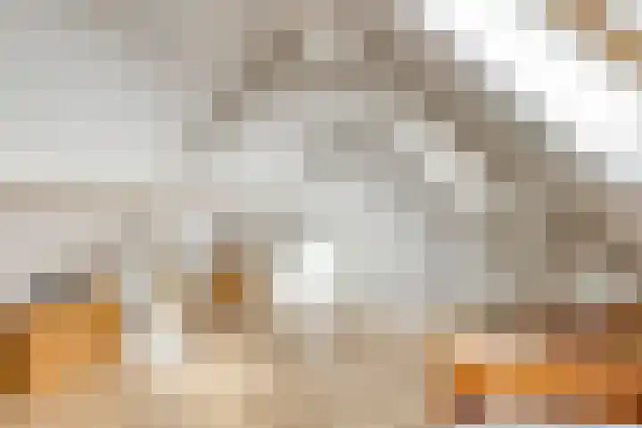 Westvest 291 Delft thumbnail 26