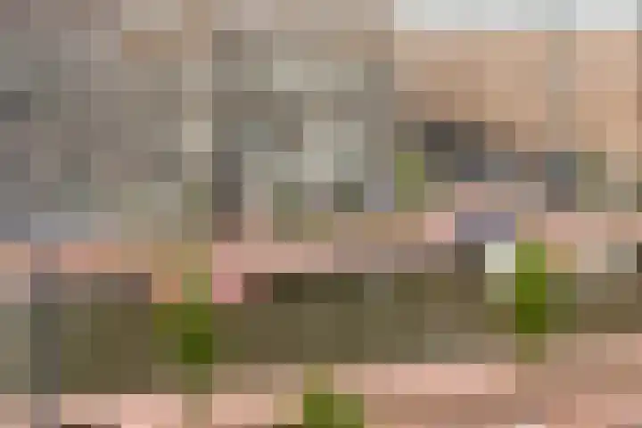Westvest 291 Delft thumbnail 31