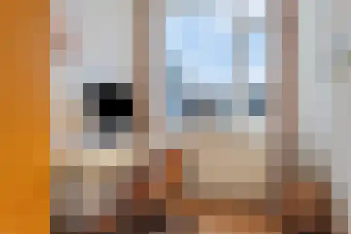 Westvest 31 Schiedam thumbnail 27