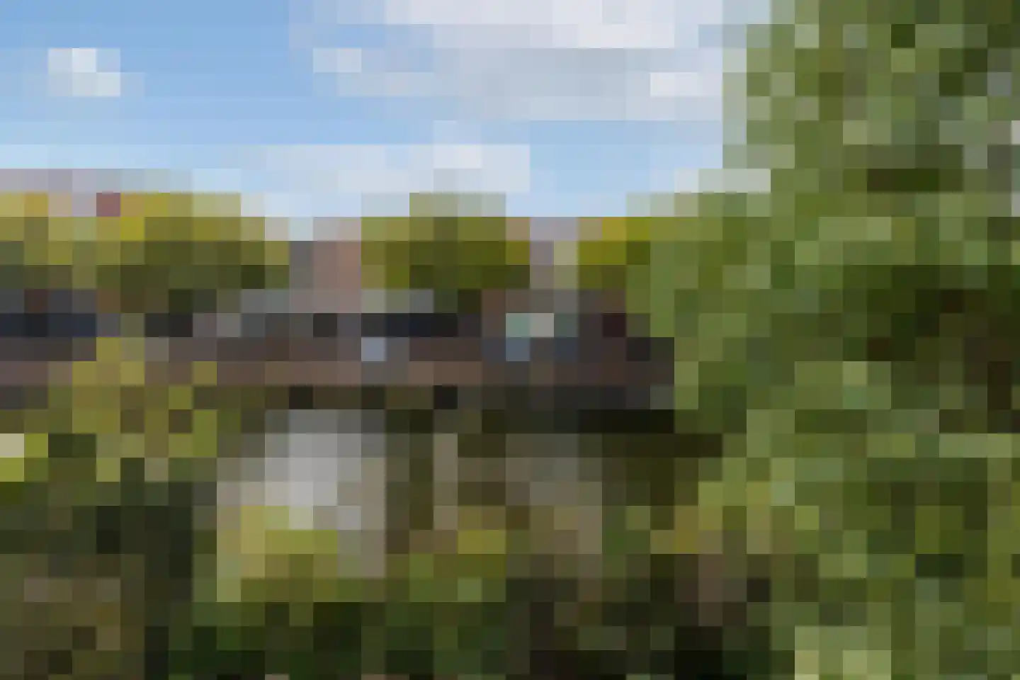 Westvest 317 Schiedam thumbnail 32