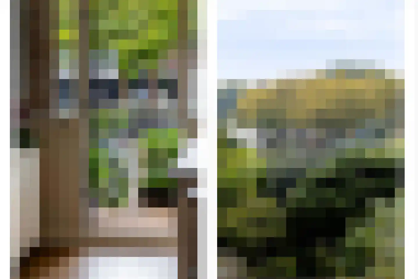 Westvest 317 Schiedam thumbnail 33