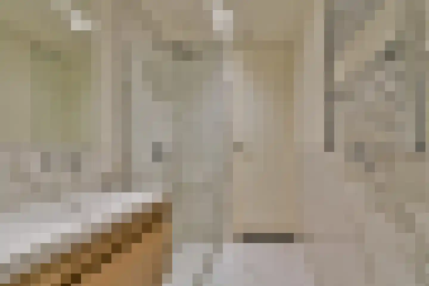 Westvest 4 D Schiedam thumbnail 19