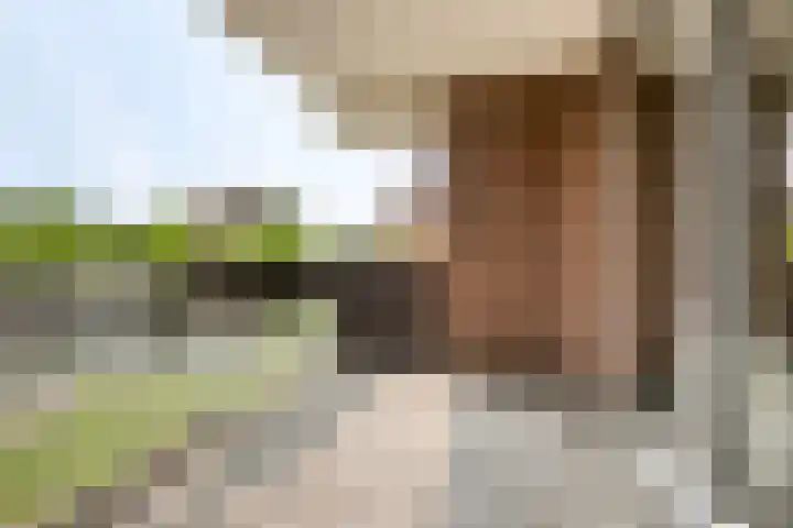 Westvest 55 Schiedam thumbnail 6