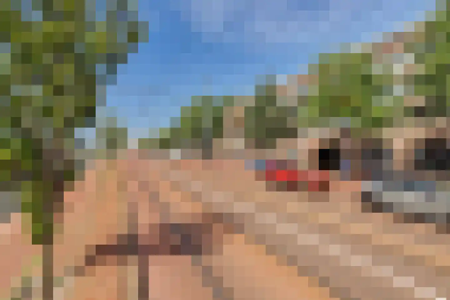Westvest 59 Delft thumbnail 33