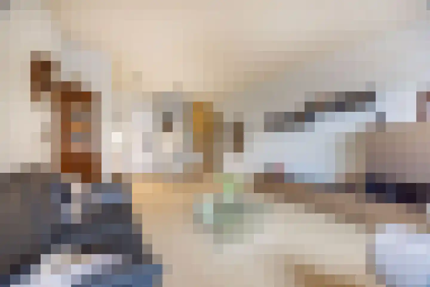 Westvest 69 Delft thumbnail 13