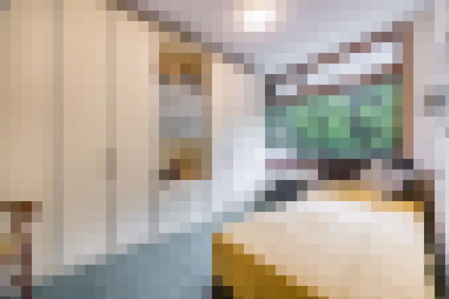 Westvest 69 Delft thumbnail 18