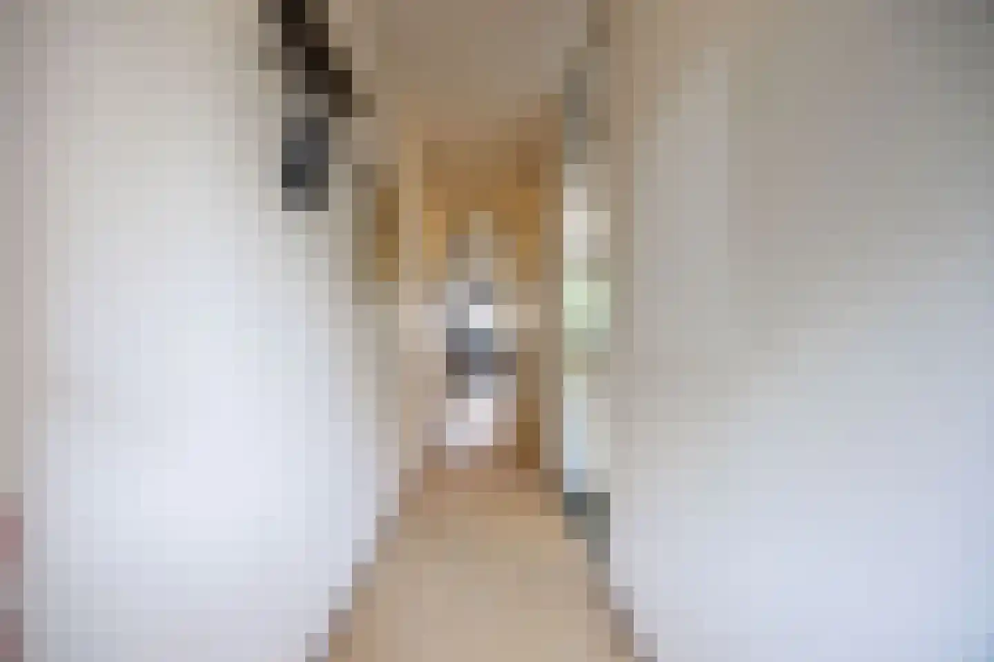 Westvest 69 Delft thumbnail 8
