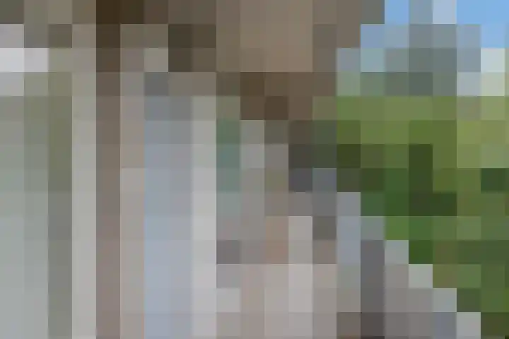 Westvest 79 Delft thumbnail 7