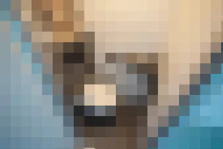 Westvest 79 Delft thumbnail 9