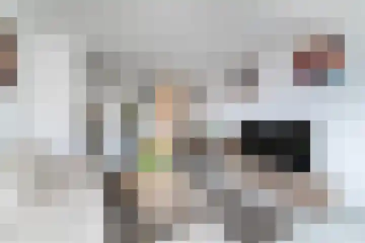 Westvest 83 Delft thumbnail 15