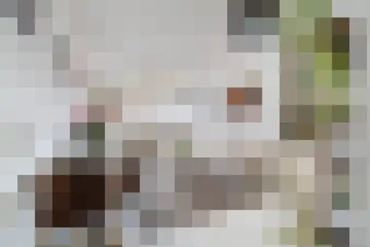 Westvest 83 Delft thumbnail 9