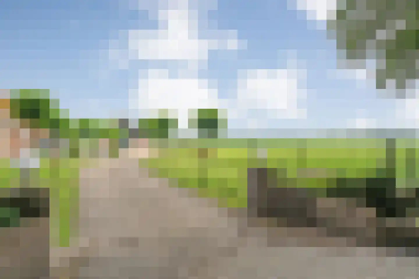 Westvierdeparten 19 Steggerda thumbnail 11