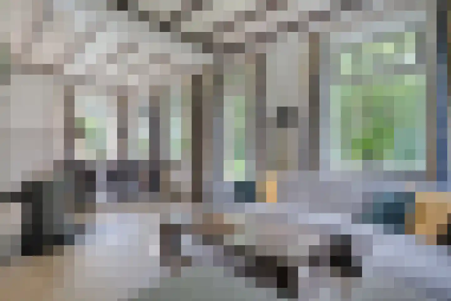 Westvierdeparten 19 Steggerda thumbnail 17