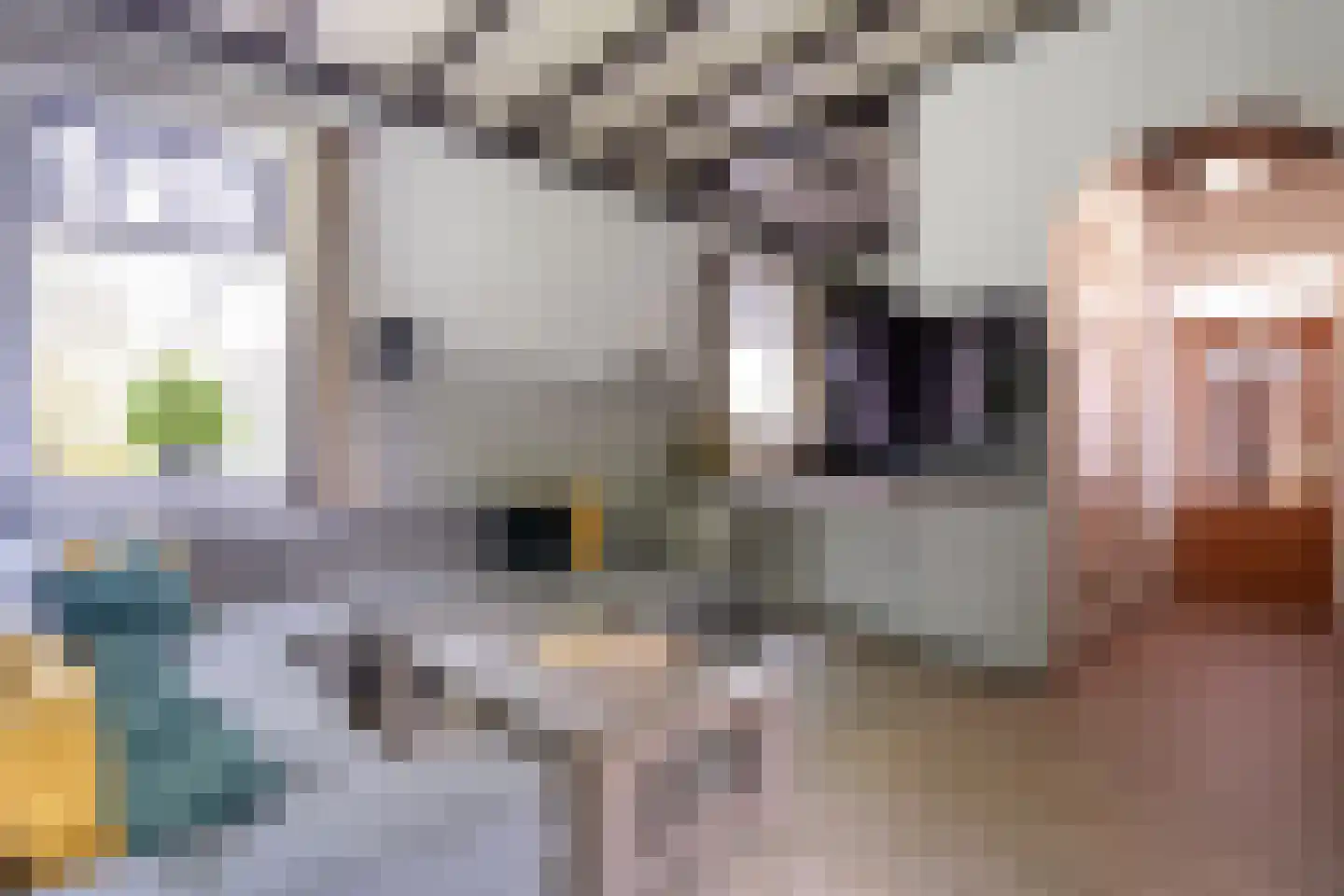 Westvierdeparten 19 Steggerda thumbnail 18