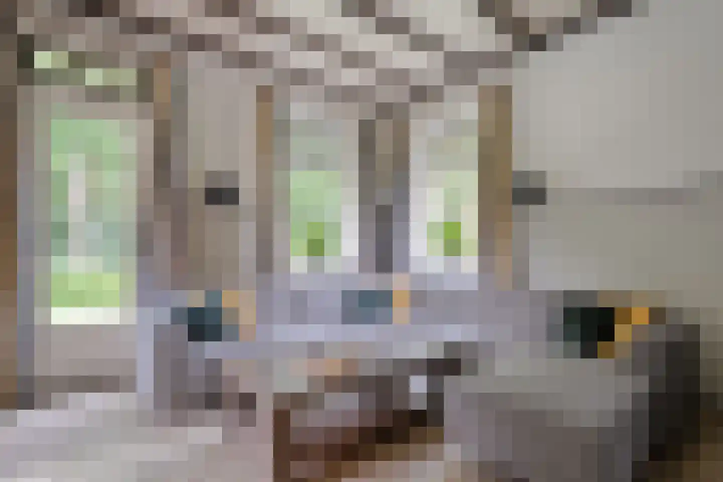 Westvierdeparten 19 Steggerda thumbnail 19