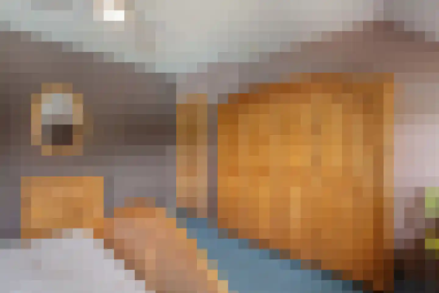 Westvierdeparten 19 Steggerda thumbnail 26