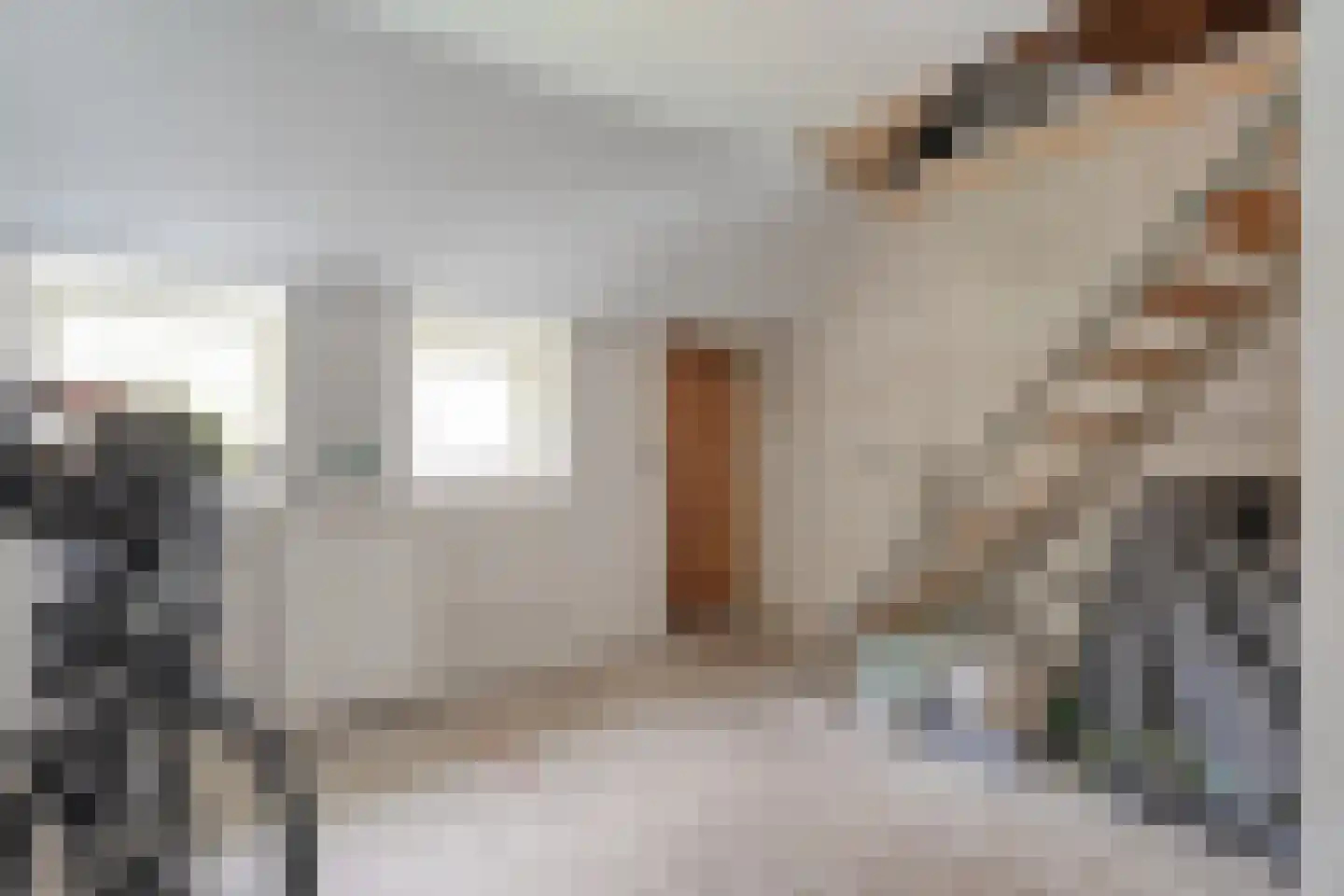 Westvierdeparten 19 Steggerda thumbnail 37