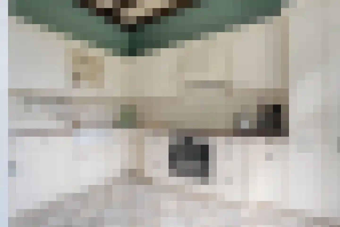 Westvierdeparten 19 Steggerda thumbnail 4